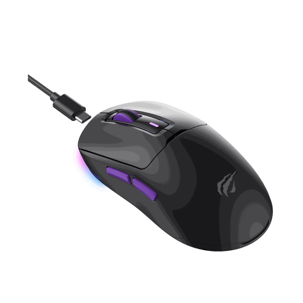 HAVIT WIRELESS MOUSE BLACK MS969WB-BLK